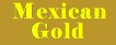 Mexican Gold Web Design, Puerto Vallarta, Mexico